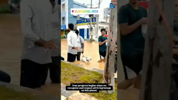 Local residents, united by a shared love for animals!