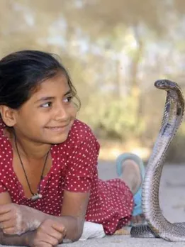 Welcome To Shetpal Village, Where Humans & Snakes Live Together In Harmony!