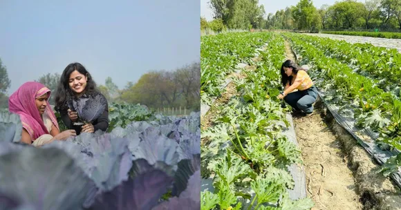 What Began as Terrace Gardening Now Spans 6 Acres of Exotic Veggies, Earning This Farmer Rs 1 Cr
