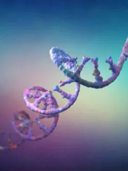 What Is MicroRNA? 10 Key Facts About the Nobel-Winning Discovery