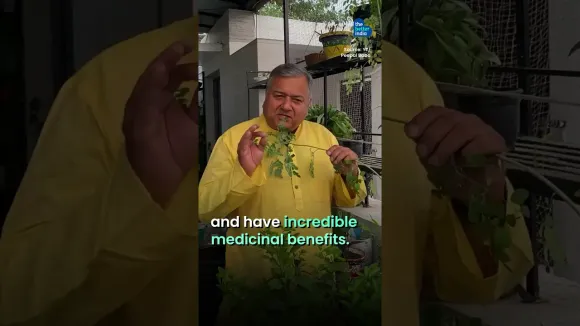 The Man Who Planted 10 Million+ Trees Across India!
