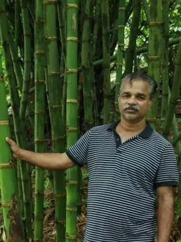 1 Man Is Protecting 142 Rare Bamboo Species in Wayanad With a 17-Acre Sanctuary