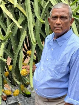 This 74-YO Kerala Farmer Is Changing the Future of Dragon Fruit Farming
