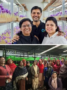 How Saffron Farming Helped a 63-YO Homemaker Earn Lakhs & Empower Rural Women