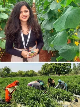 Former Terrace Gardener Starts Exotic Veggies Farm in Lucknow, Earns Rs 1 Cr/Yr