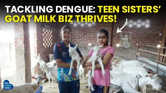 Sisters Start Goat Milk Business For Dengue And Jaundice