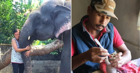 10 Powerful Stories of Conservationists Saving India’s Wildlife