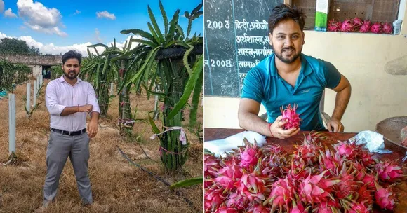 ‘Invest Once, Reap Profits for 35 Yrs’: How a Techie’s Dragon Fruit Biz Earns Rs 20 Lakh/Yr