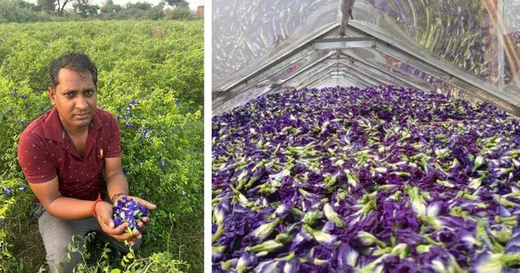 Kanpur Farmer Turns Solar-Dried Flowers Into Profits, Helping 100+ Local Farmers