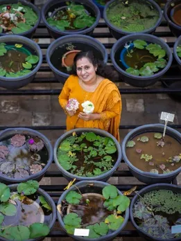 Kerala Teacher Turns Her Love for Gardening Into Profitable Biz Growing Lotus & Water Lilies