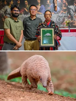 How 230 Villages in Manipur Are Uniting To Save Pangolins From Extinction Before It’s Too Late