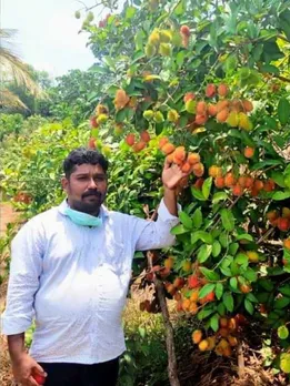 Class 10 Dropout to Millionaire: How Farming Dragon Fruit & Rambutan Changed This Man’s Life!