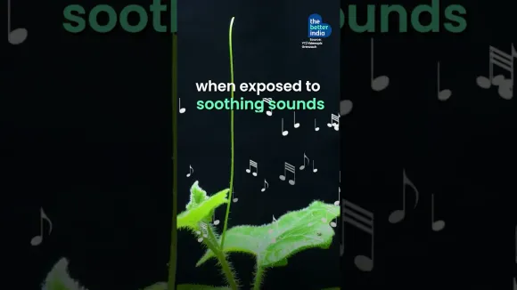 Did you know that plants have a pulse?