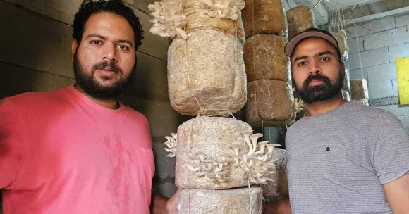 How 2 Brothers Built a Rs 25 Lakh Mushroom Farming Business in Uttarakhand