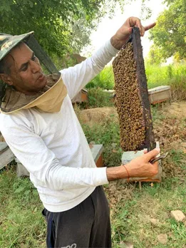 Once Labelled Crazy, This Haryana Farmer Turned Scepticism into a Rs 2 Crore Honey Enterprise
