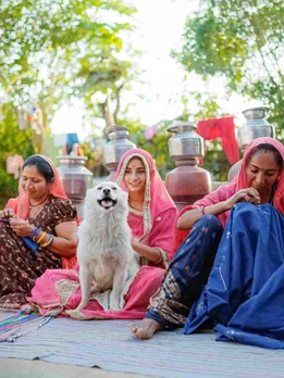 After Friend’s Cat Was Hurt by a Plastic Toy, Ahmedabad Woman Creates Safe Pet Solutions