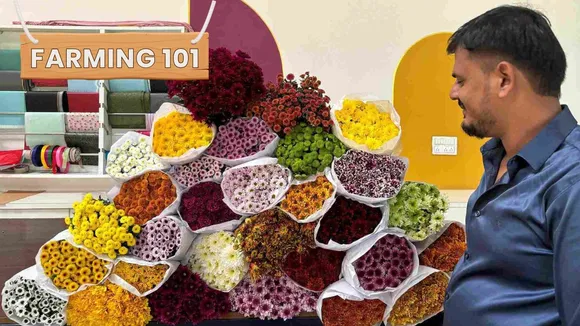 Petals to Profits: Remarkable Stories of 5 Indian Flower Farmers, One Earning Rs 5 Cr/Year
