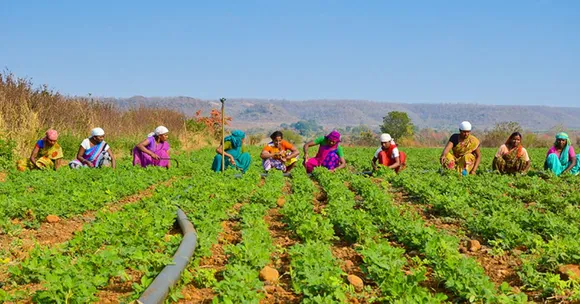 How to Apply for PM Kisan Yojana: A Simple Guide for First-Time Farmers