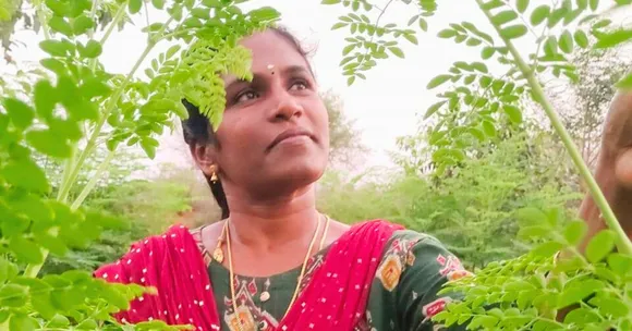 From Class 10 Dropout to Tamil Nadu’s ‘Moringa Queen’ Generating Rs 12 Lakh/Year