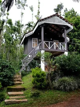7 Stunning Jungle Homestays in India For Wildlife Lovers