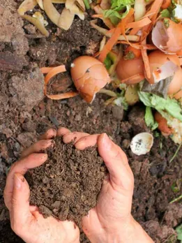 How To Convert Peels, Tea Leaves & More Into Nutrient-Rich Compost at Home