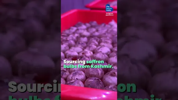 Air-Grown Saffron? He’s Making ₹20 Lakh/Year!