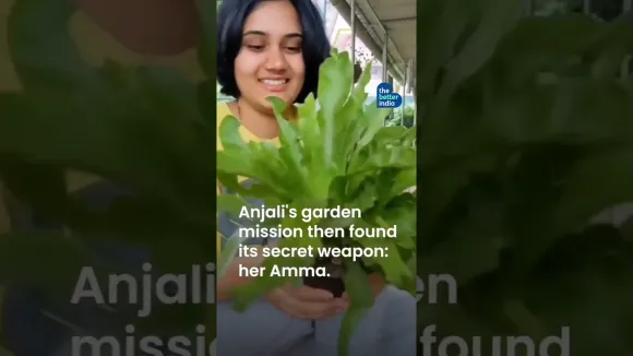 Amma's Upcycled Garden!