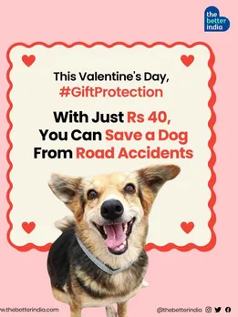 For Just Rs 40, You Can Keep a Stray Dog Safe
