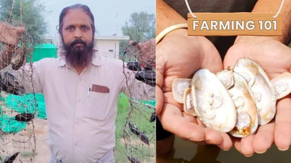 Farmers Earning Lakhs From Pearl Farming Swear By These 7 Tips