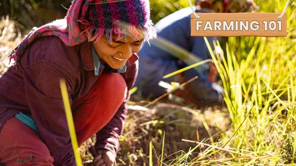 Save Thousands with These Natural Fertilisers & Fungicides + Learn Zero Budget Farming