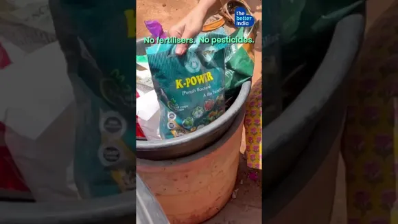 She Grows 500+ Plants, Veggies & Species On Her Terrace!