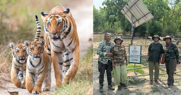 A Tigress in Need Inspired This Surgeon Couple to Save India’s Wildlife with Solar Power