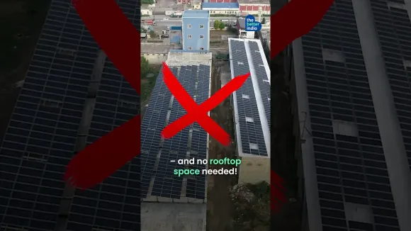 This Guy Is Turning Plastic Waste Into Solar Trees!