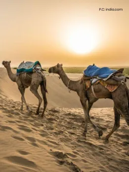 Wildlife, Caves, Handicrafts: 10 Offbeat Experiences To Try in Rajasthan