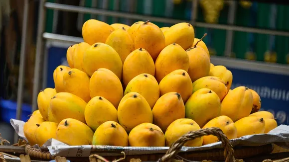 From Varanasi to Goa: 9 GI-Tagged Mangoes You Must Try This Summer