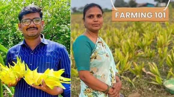 Turmeric, Aloe Vera & More: How These Farmers Doubled Their Income Through Horticulture