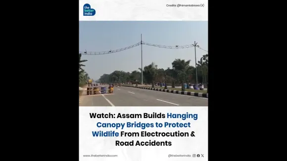 Four hanging canopy bridges have been installed over NH-117 in Bongaigaon.