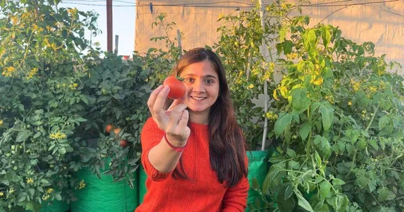 Mulberries, Chillies & More: How One Woman Turned Her Terrace into a Mini Farm