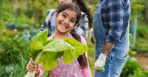 How to Grow Cucumbers With Your Kids At Home: A Kerala Gardener's Easy Guide