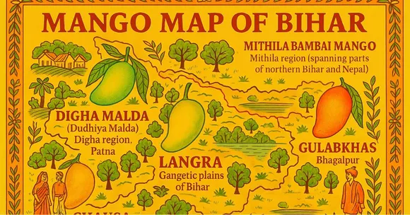 Bihar's Mango Map: Your Summer Guide to the State's Tastiest Varieties