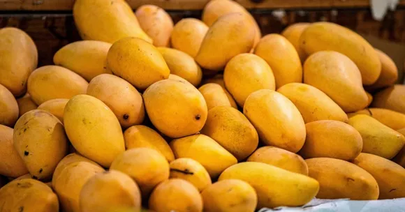 How This Online Platform is Helping Karnataka Farmers Reach Mango Lovers Across Bengaluru