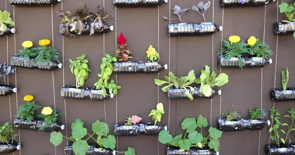 This Summer, Build a Vertical Garden at Home Using Just Plastic Bottles — It’s Easier Than You Think