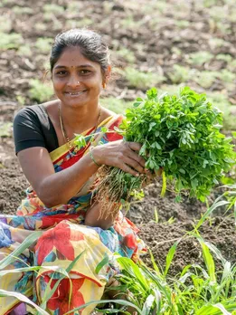 Sustainable & Zero-Cost: 5 Natural Fertilisers & Fungicides That You Can Easily Prepare at Home