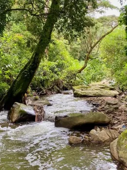 Digital Detox: 6 Offbeat Indian Getaways Where Nature Replaces Notifications