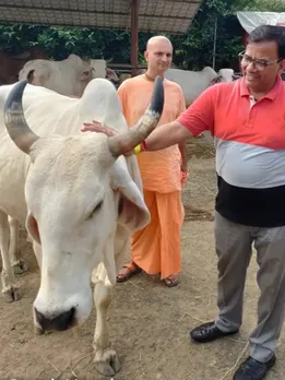 Once Called ‘Crazy’ For His Idea, This Jaipur Man Now Earns Crores From Cow Dung