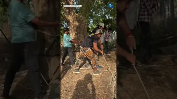 Rescuers Take Prompt Action To Save Black Buck Stuck In A Deep Dry Well