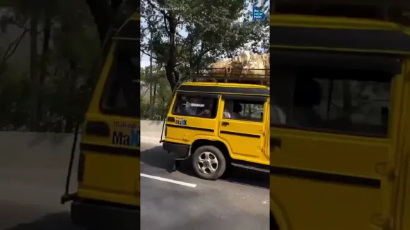 Traffic Discipline In Northeast India Is An Inspiration