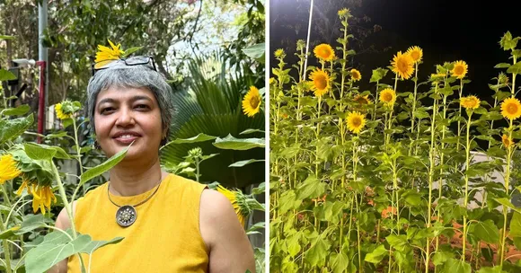 She Gave Away 10000 Sunflower Seeds — This Baker’s Dream Is Turning Chennai Into a Garden City