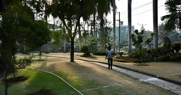 Mumbai’s Marol Turned a Barren Plot into a 3.5-Acre Urban Forest That Cools the Area by 4°C