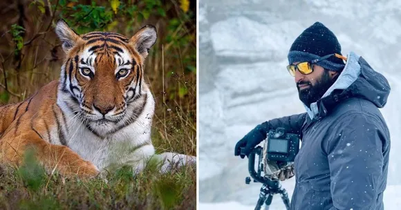 'The Forest Has Changed How I See Myself': A Wildlife Photographer Reflects on 15 Years in the Wild